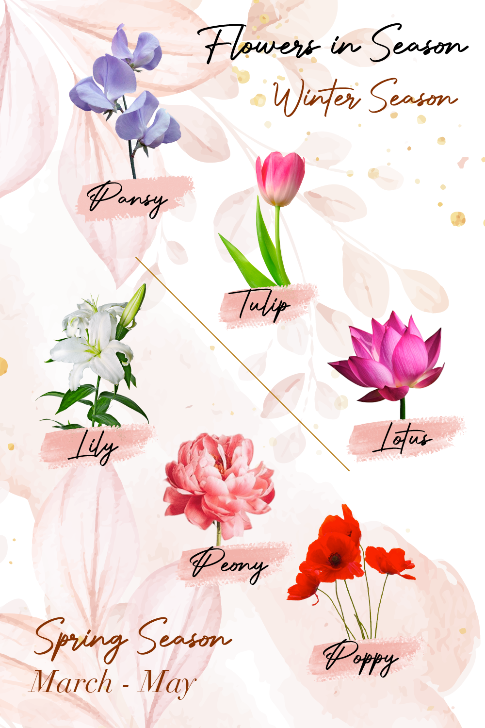 Flowers in Season